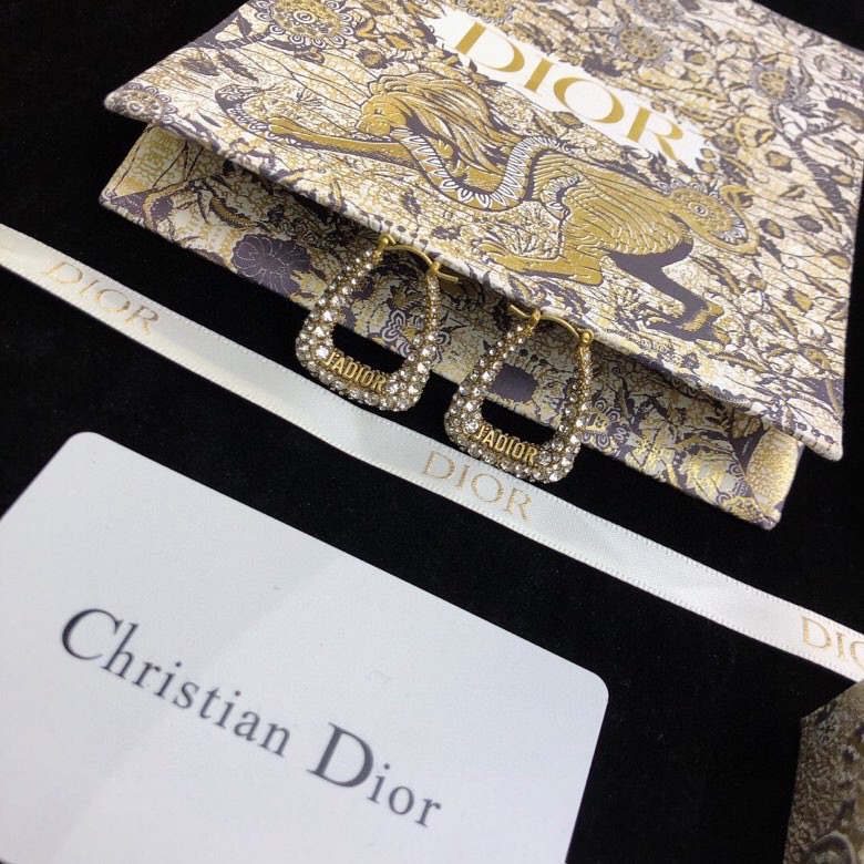 Christian Dior Earrings